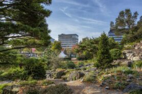 Trees and view from botanical gardens